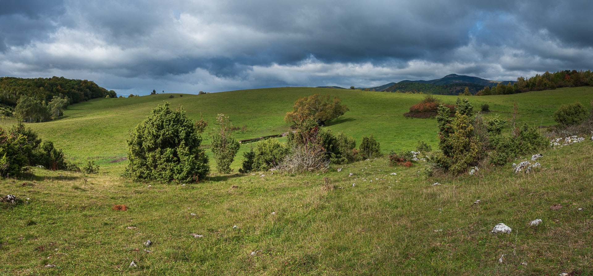 Horný vrch zo sedla Soroška (Slovenský kras)