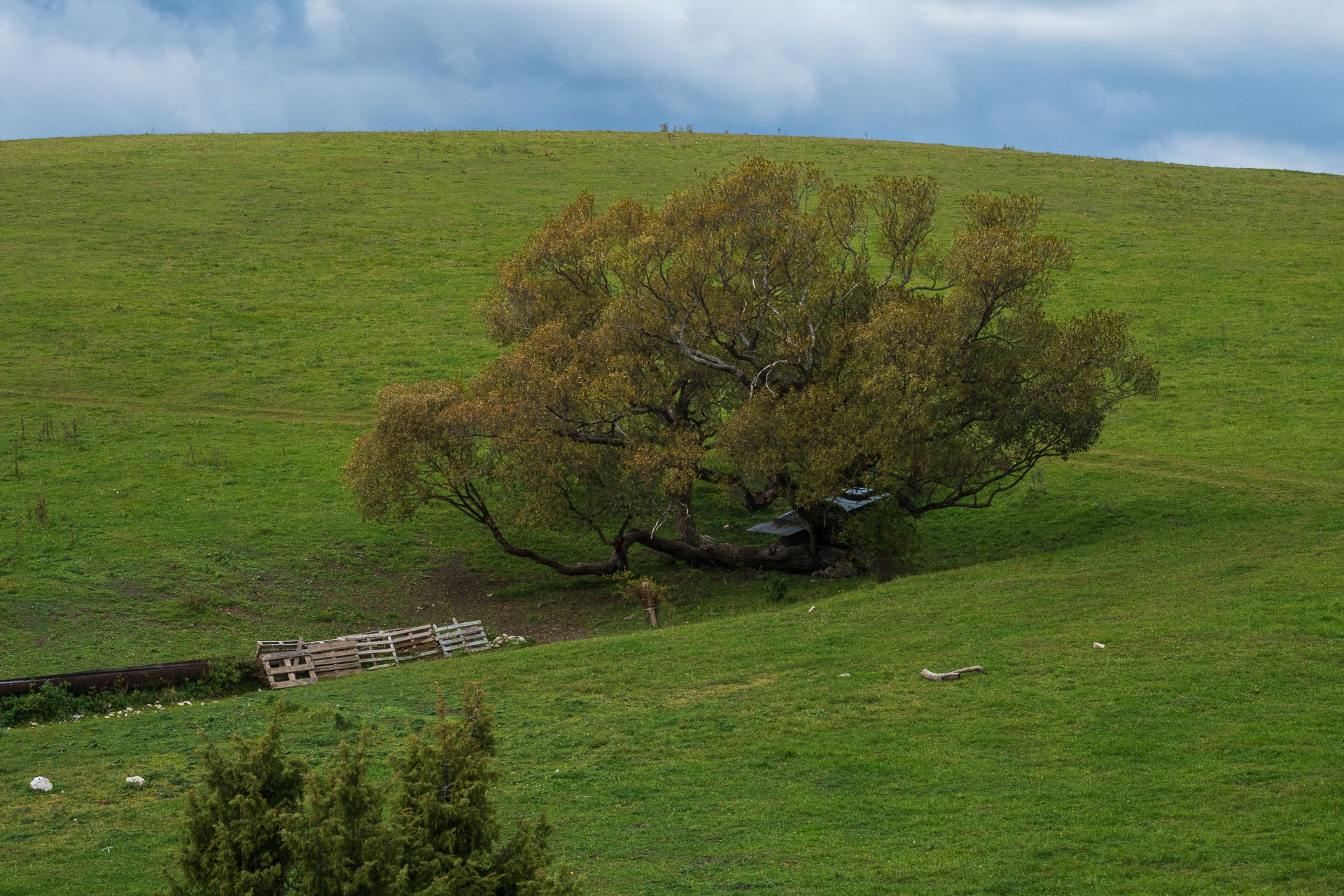 Horný vrch zo sedla Soroška (Slovenský kras)