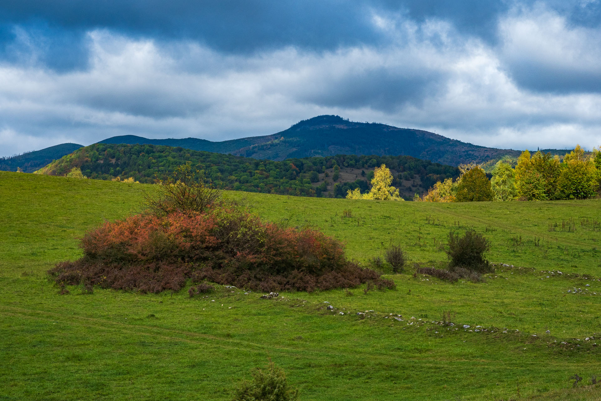 Horný vrch zo sedla Soroška (Slovenský kras)