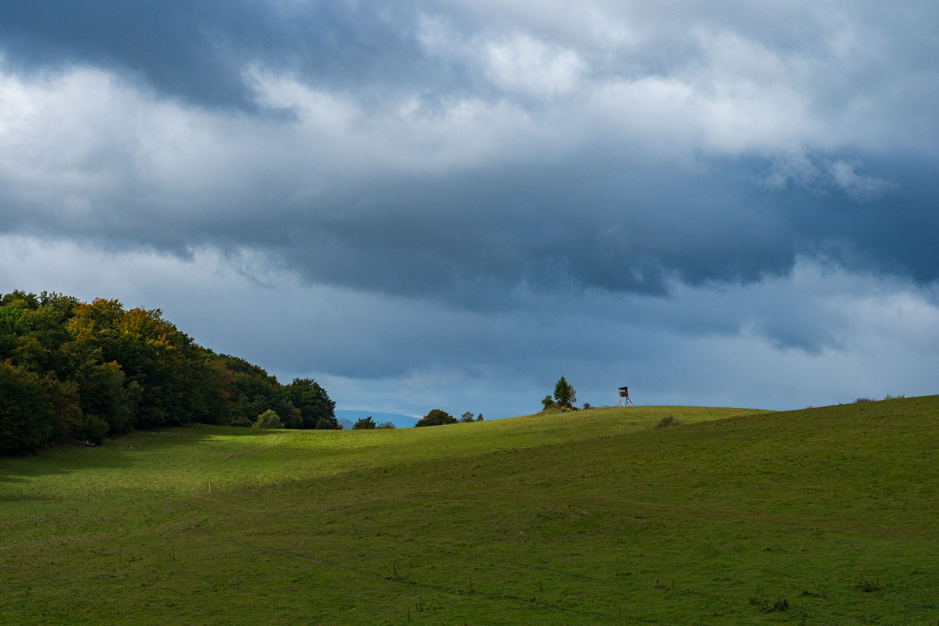 Horný vrch zo sedla Soroška (Slovenský kras)