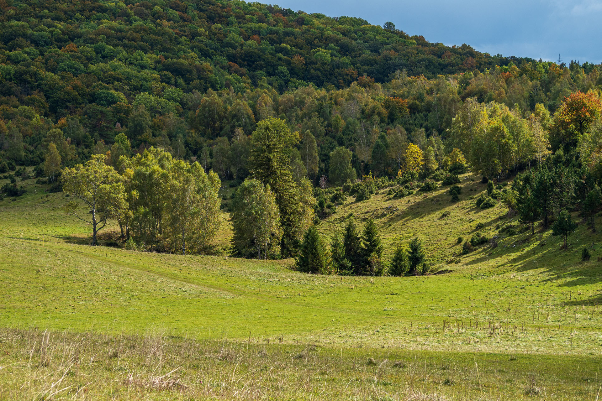 Horný vrch zo sedla Soroška (Slovenský kras)