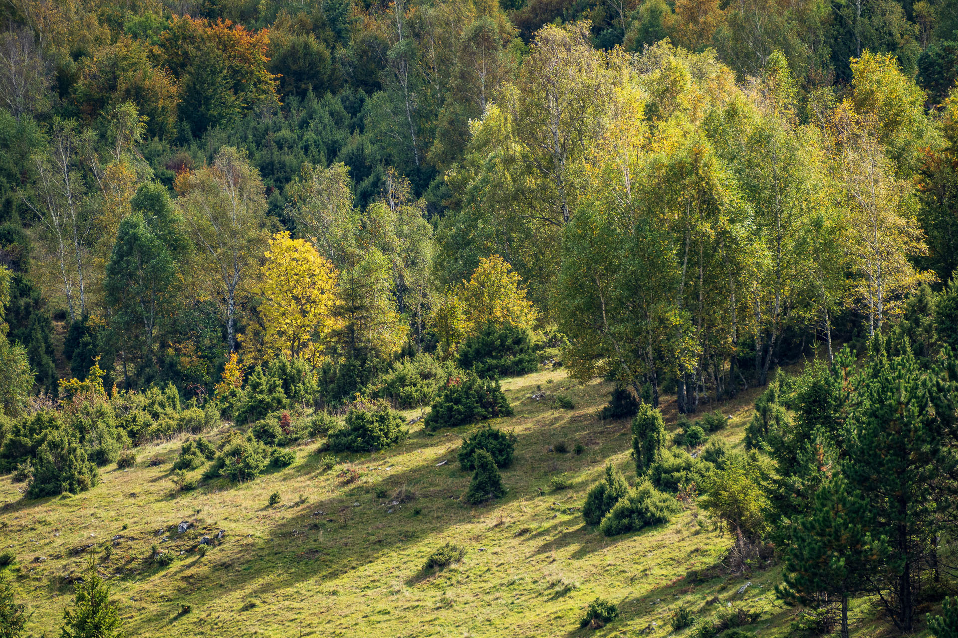 Horný vrch zo sedla Soroška (Slovenský kras)