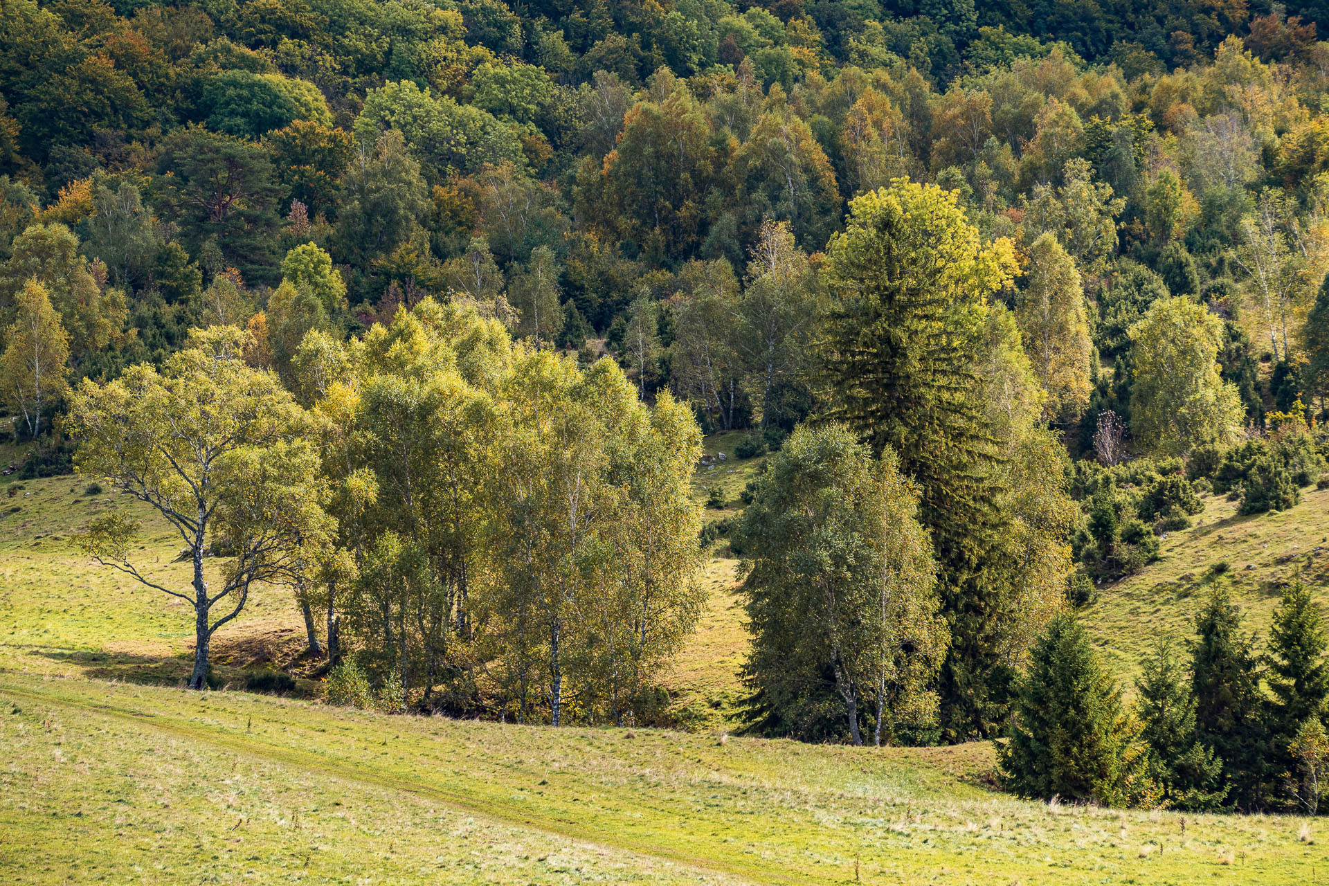 Horný vrch zo sedla Soroška (Slovenský kras)