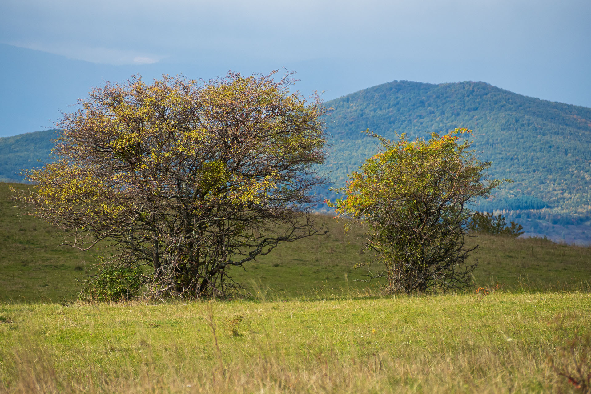 Horný vrch zo sedla Soroška (Slovenský kras)