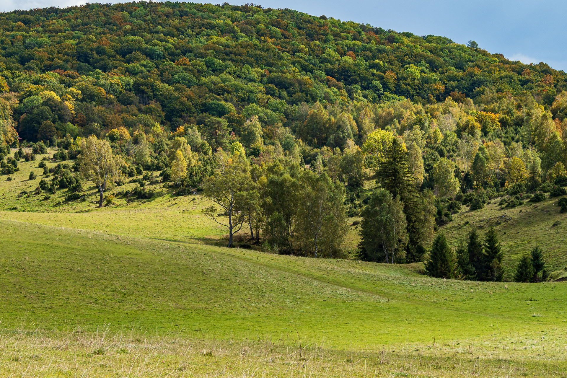 Horný vrch zo sedla Soroška (Slovenský kras)