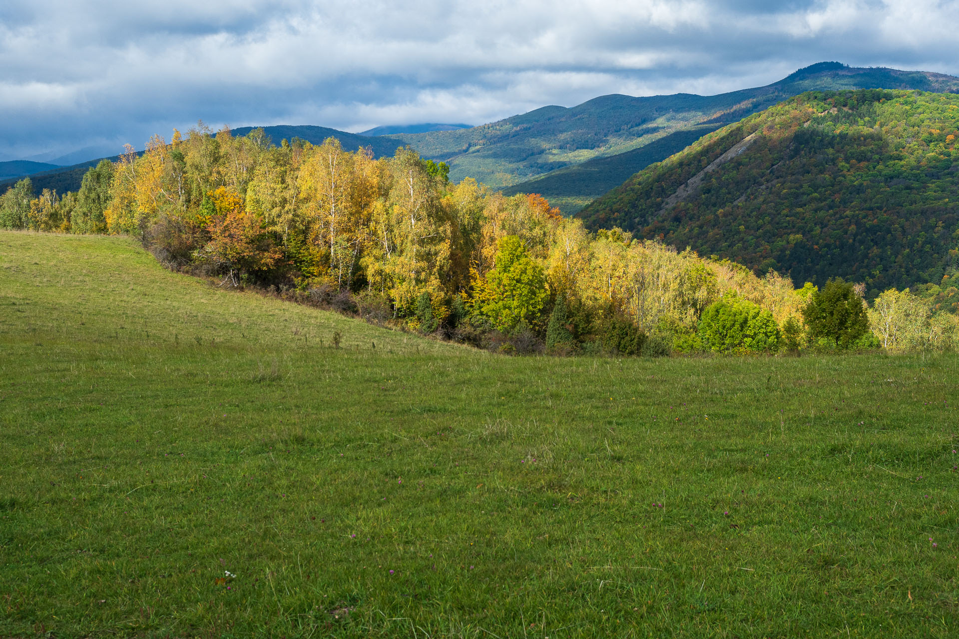 Horný vrch zo sedla Soroška (Slovenský kras)