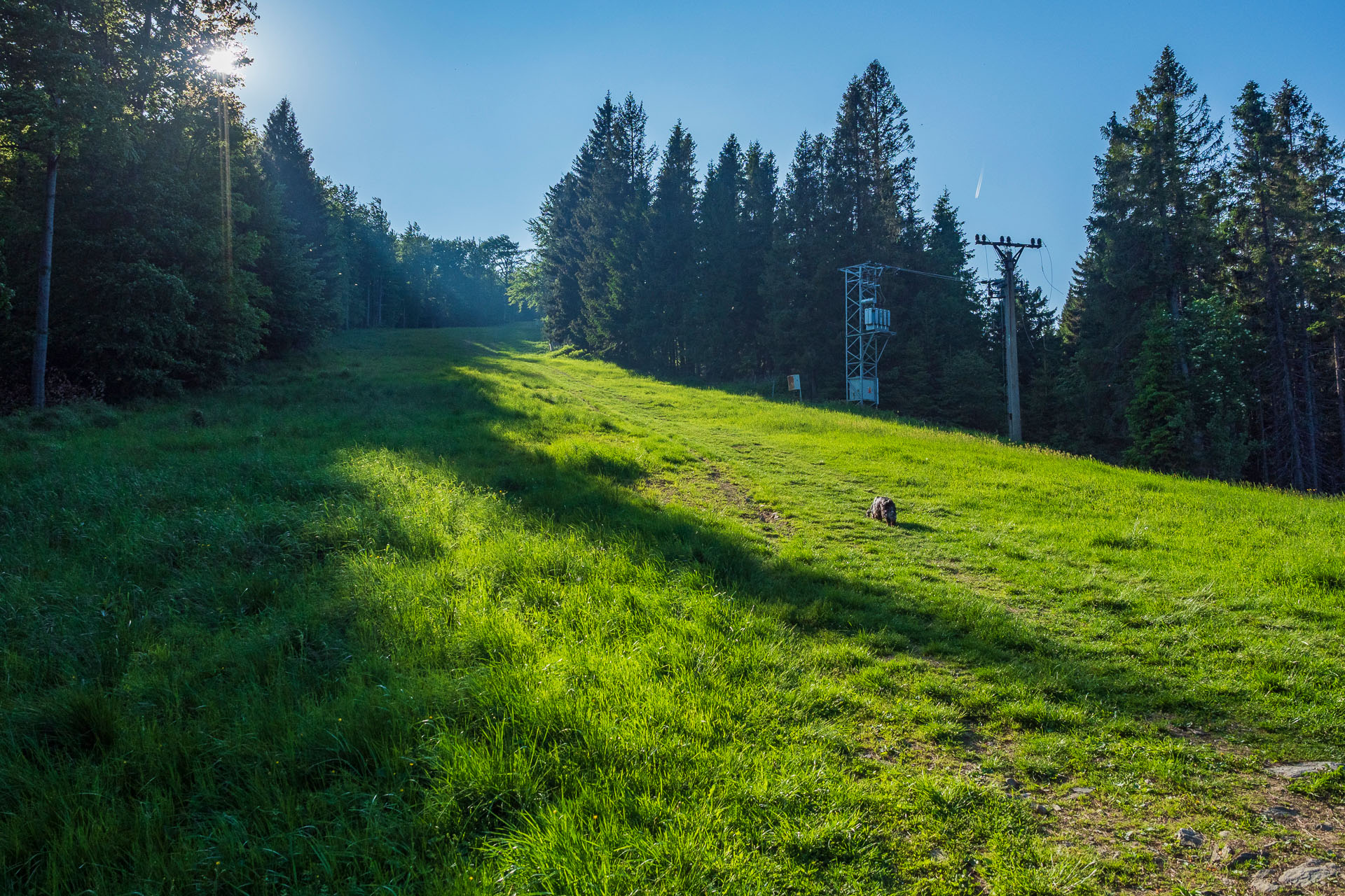 Kojšovská hoľa zo Zlatej Idky (Volovské vrchy)