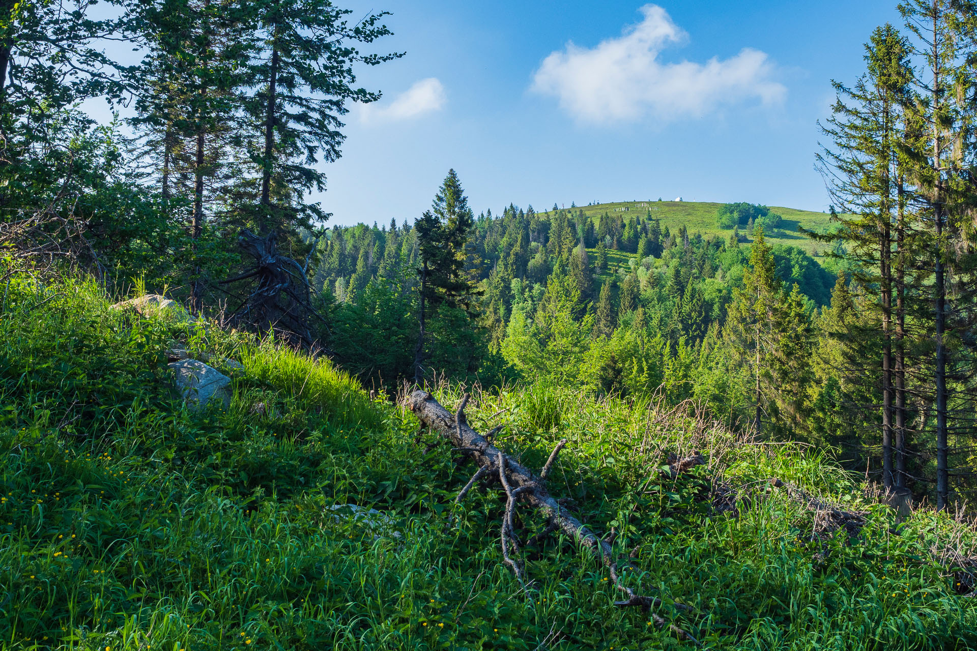 Kojšovská hoľa zo Zlatej Idky (Volovské vrchy)