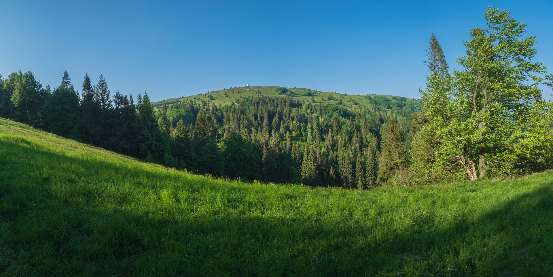 Kojšovská hoľa zo Zlatej Idky (Volovské vrchy)