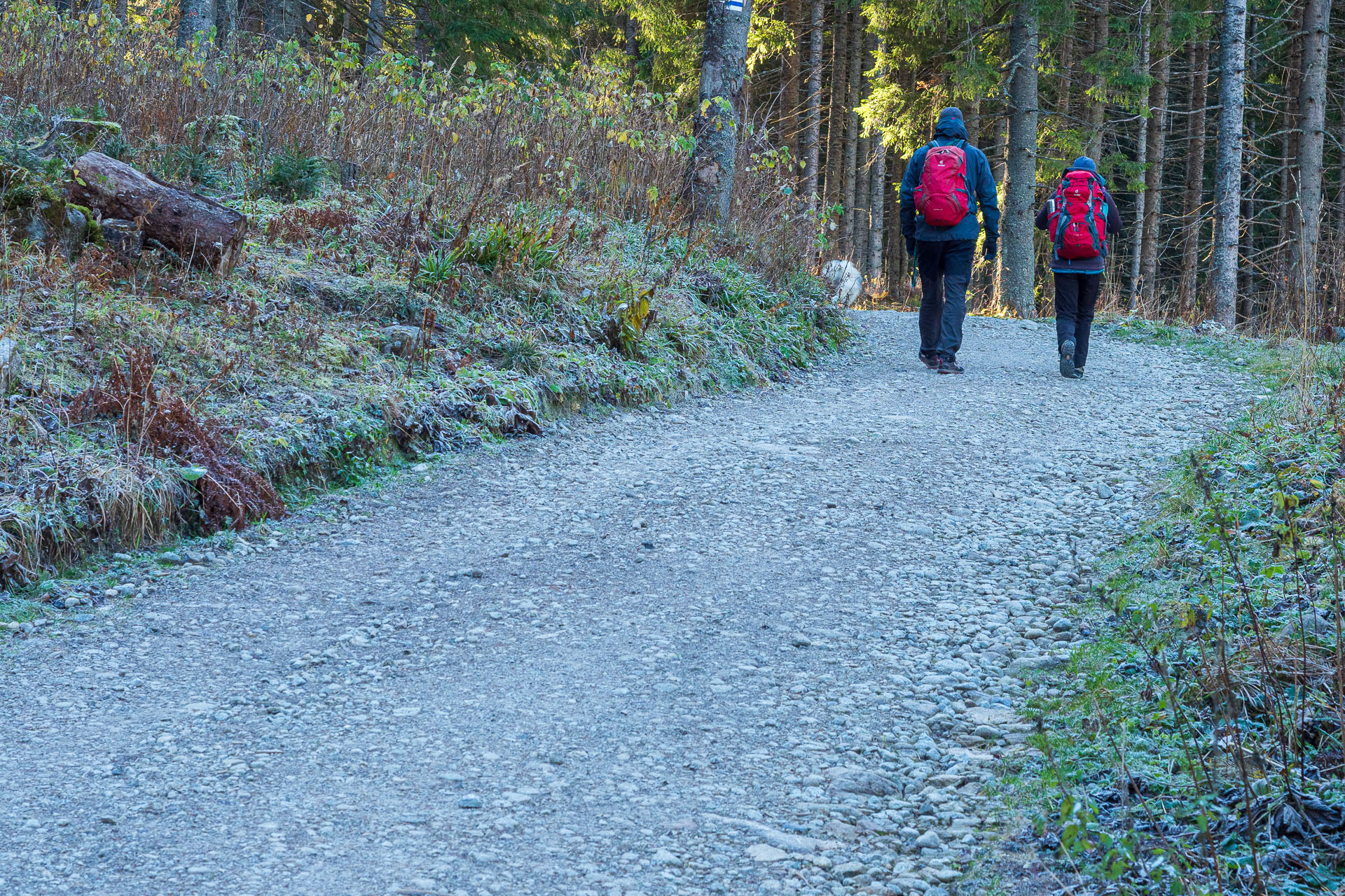 Kopské sedlo z Tatranskej Javoriny (Belianske Tatry)