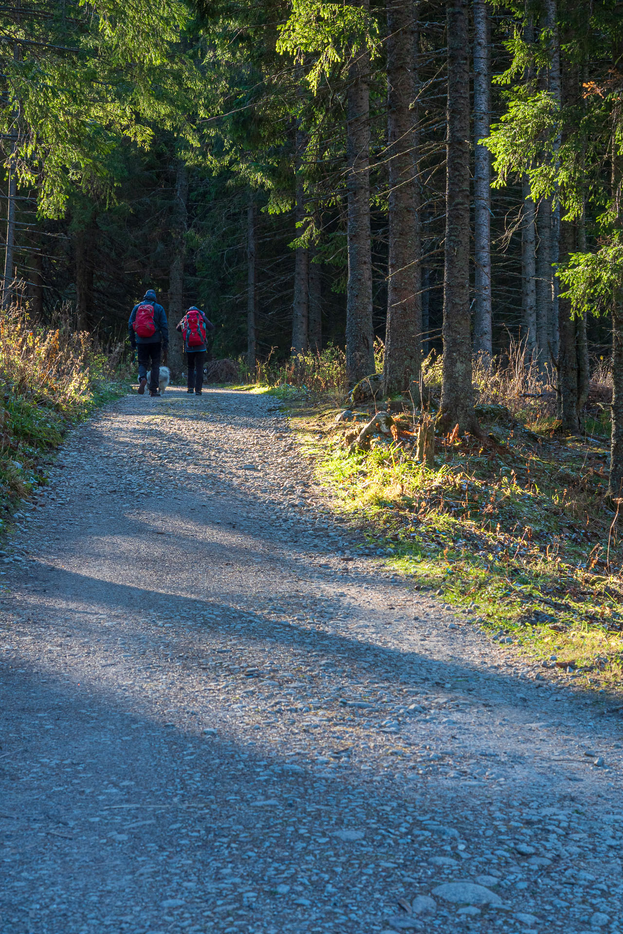 Kopské sedlo z Tatranskej Javoriny (Belianske Tatry)