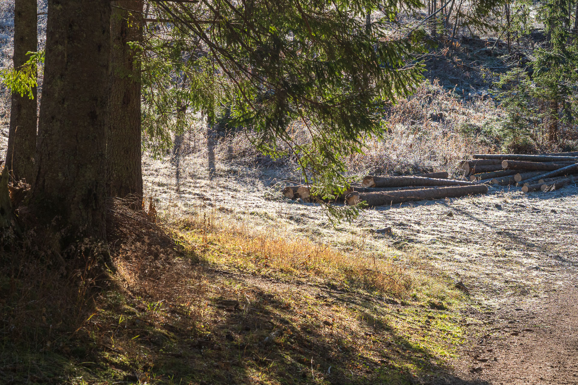 Kopské sedlo z Tatranskej Javoriny (Belianske Tatry)