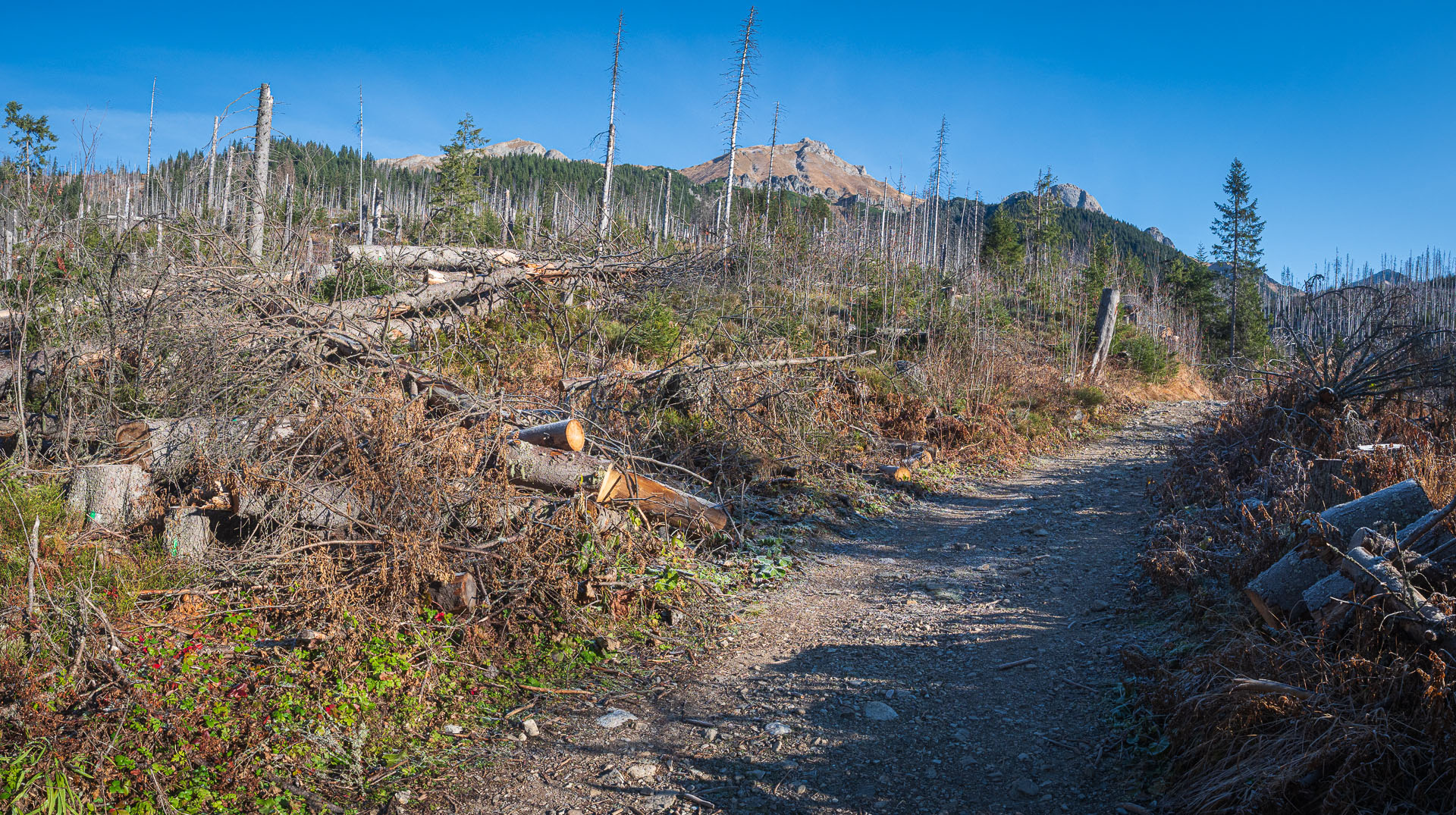 Kopské sedlo z Tatranskej Javoriny (Belianske Tatry)