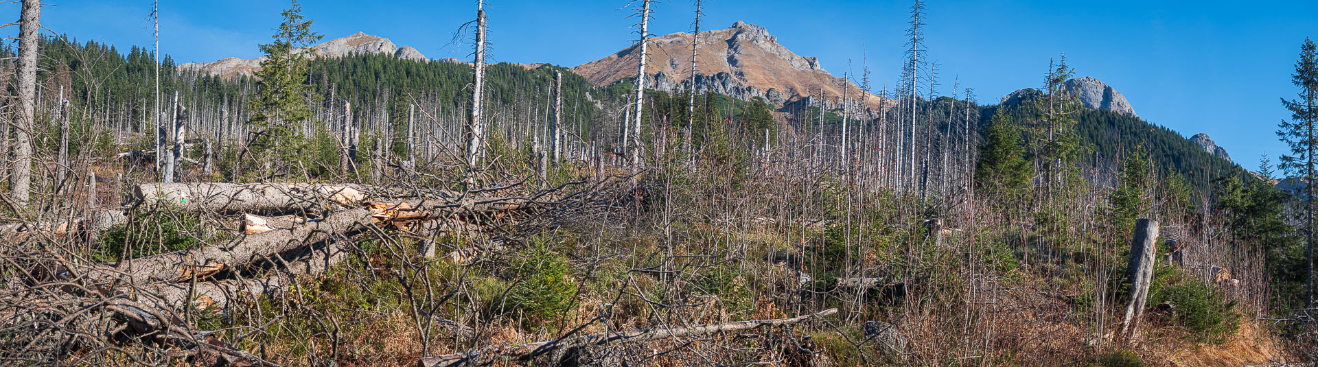 Kopské sedlo z Tatranskej Javoriny (Belianske Tatry)