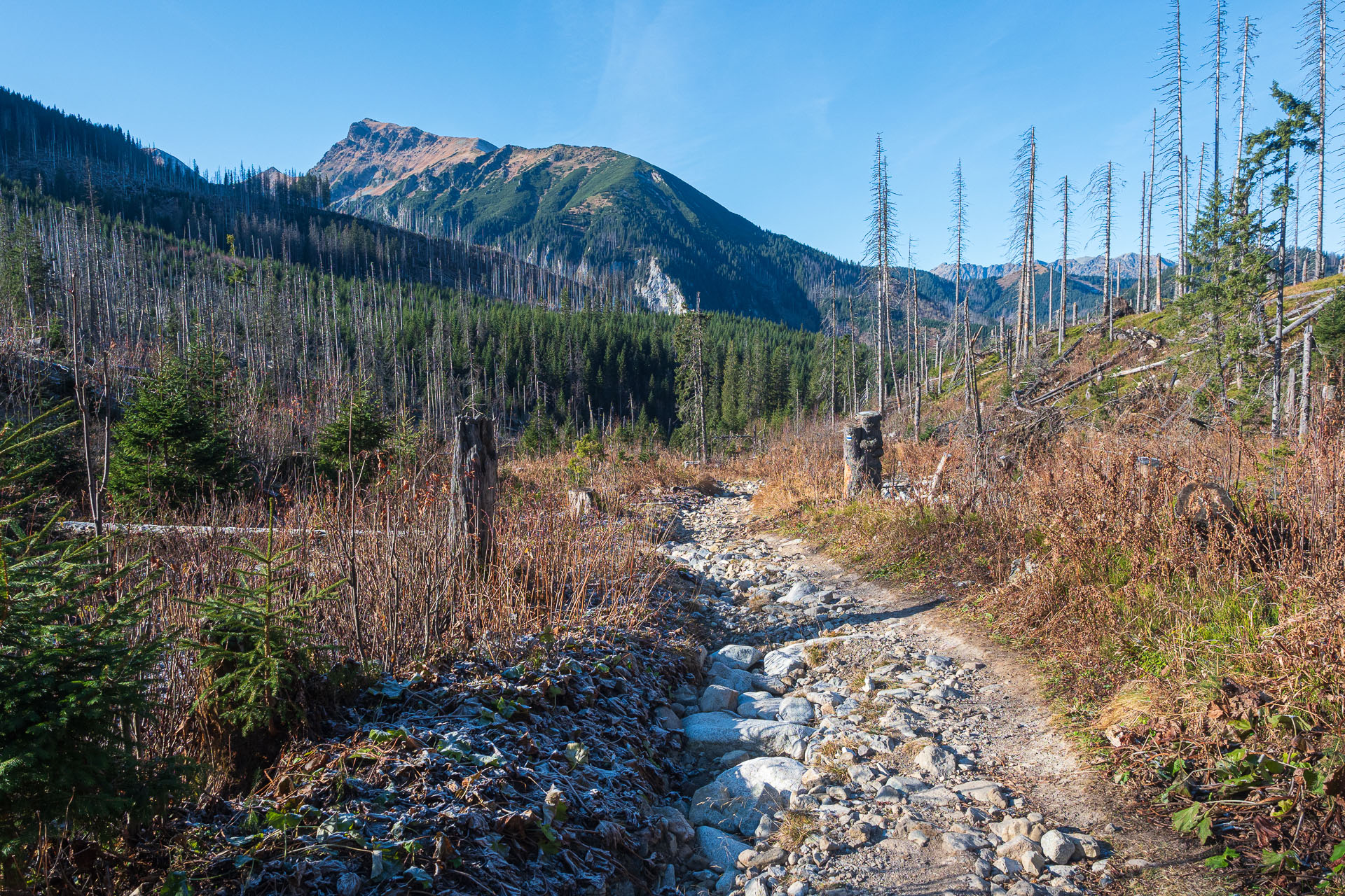 Kopské sedlo z Tatranskej Javoriny (Belianske Tatry)