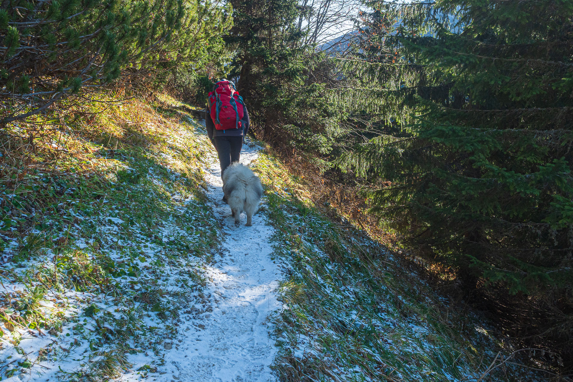 Kopské sedlo z Tatranskej Javoriny (Belianske Tatry)