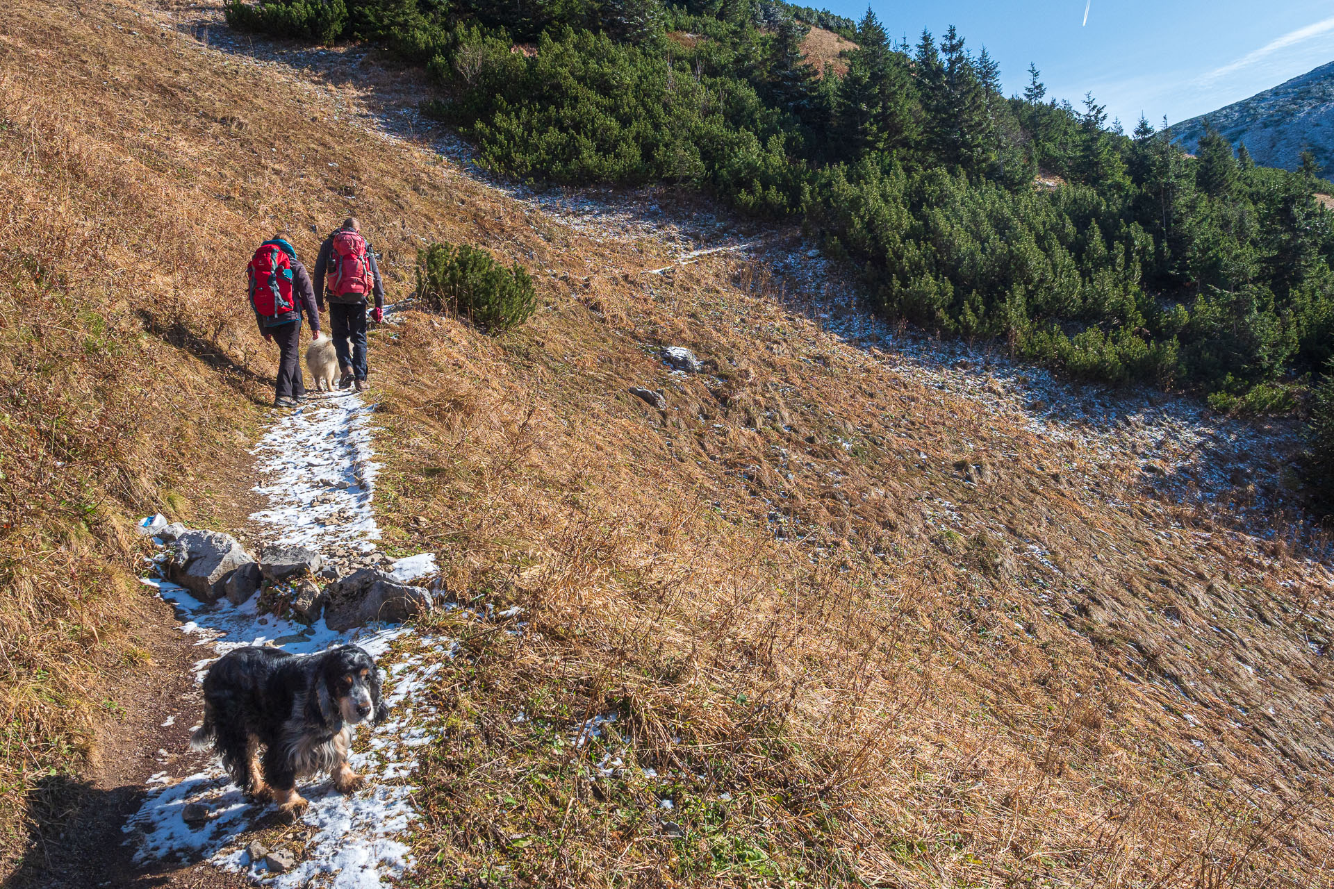 Kopské sedlo z Tatranskej Javoriny (Belianske Tatry)