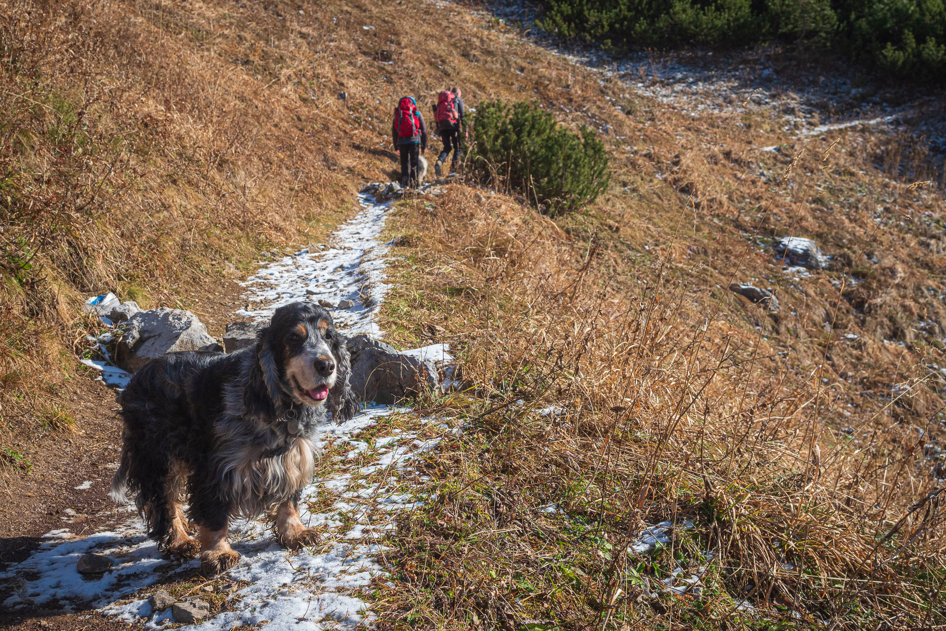 Kopské sedlo z Tatranskej Javoriny (Belianske Tatry)