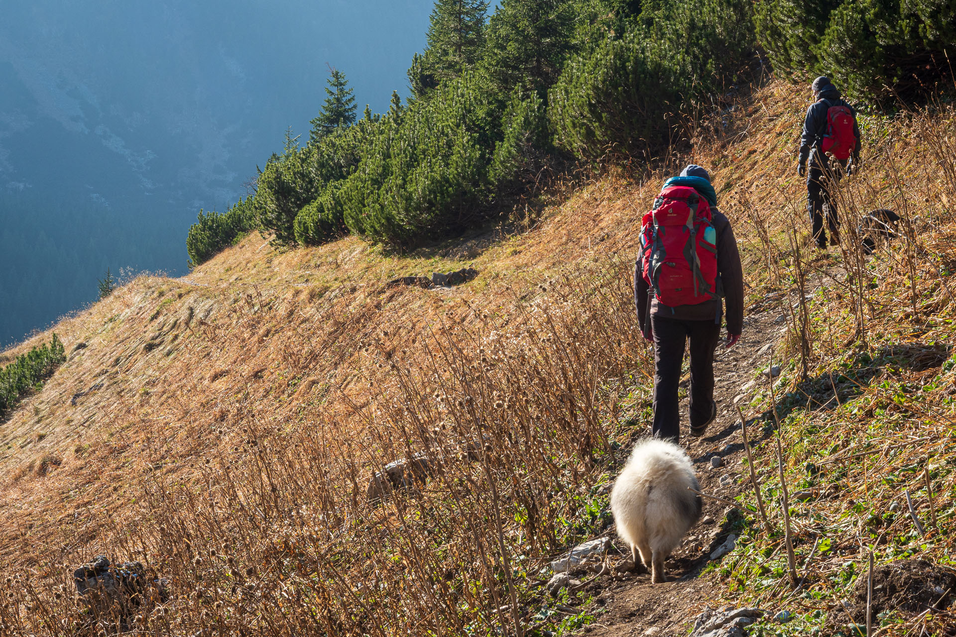 Kopské sedlo z Tatranskej Javoriny (Belianske Tatry)