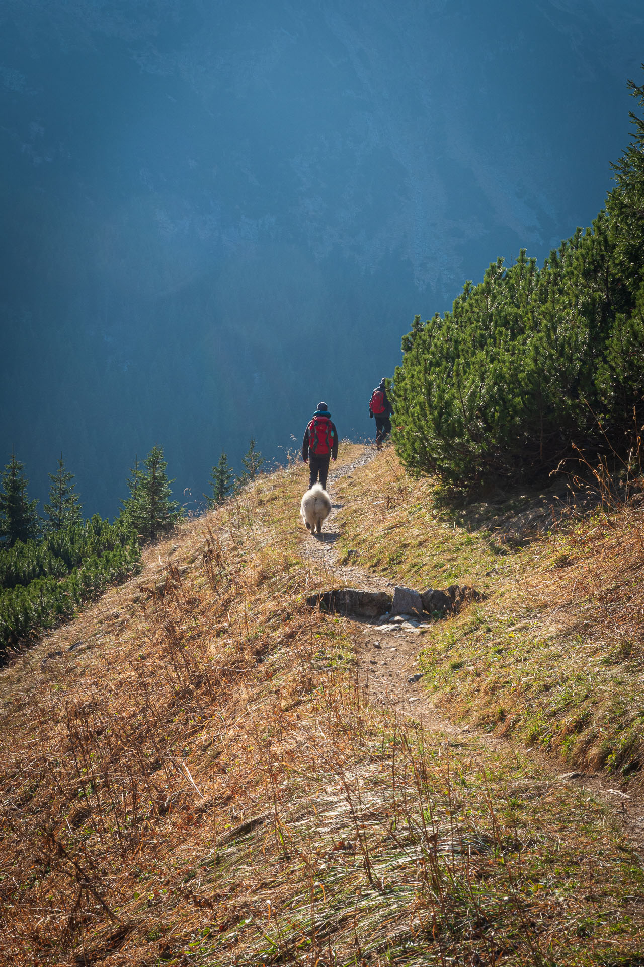 Kopské sedlo z Tatranskej Javoriny (Belianske Tatry)