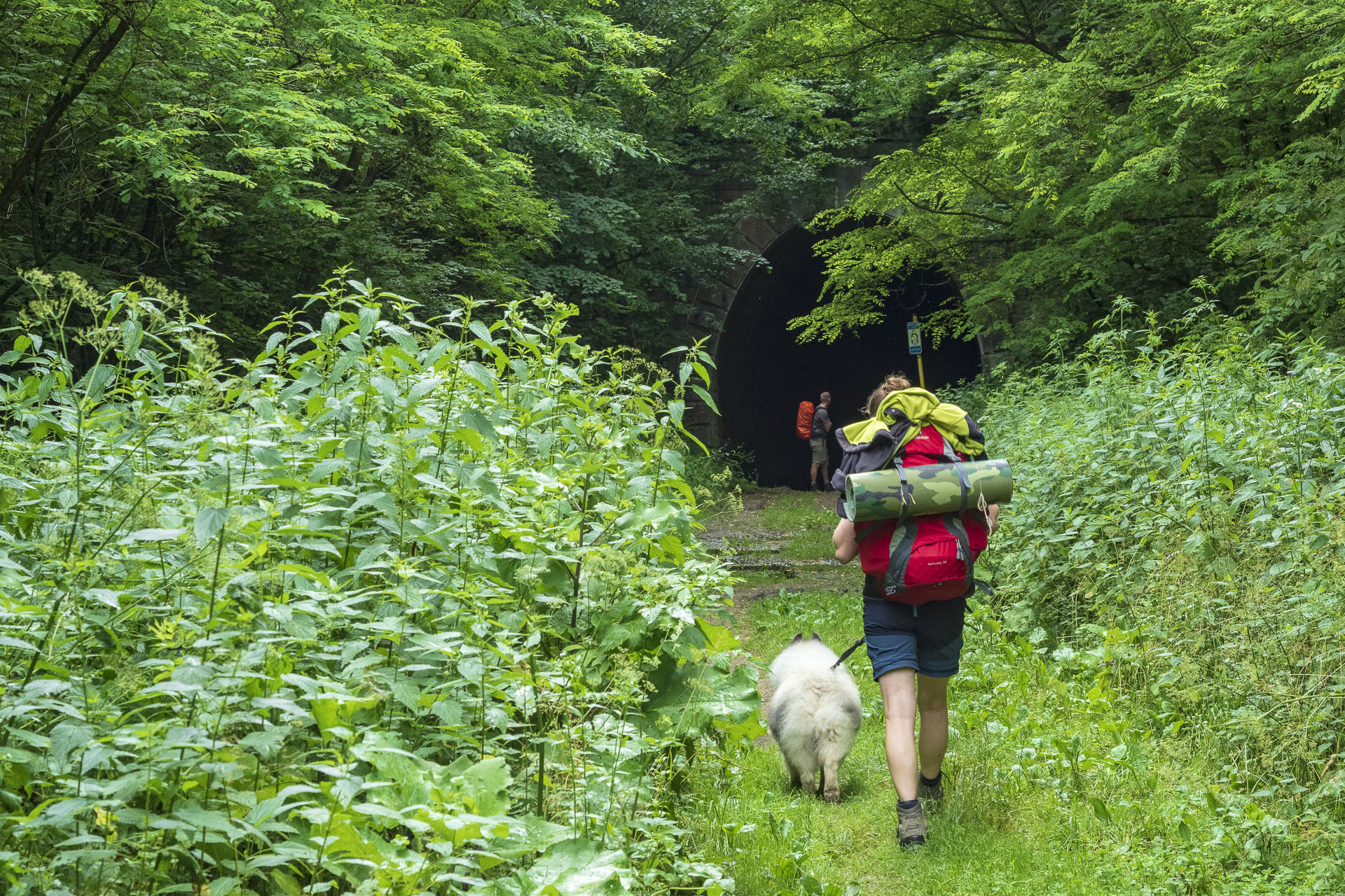 Koprášsky viadukt, Koprášsky a Slavošovský tunel zo Slavošoviec (Stolické vrchy)