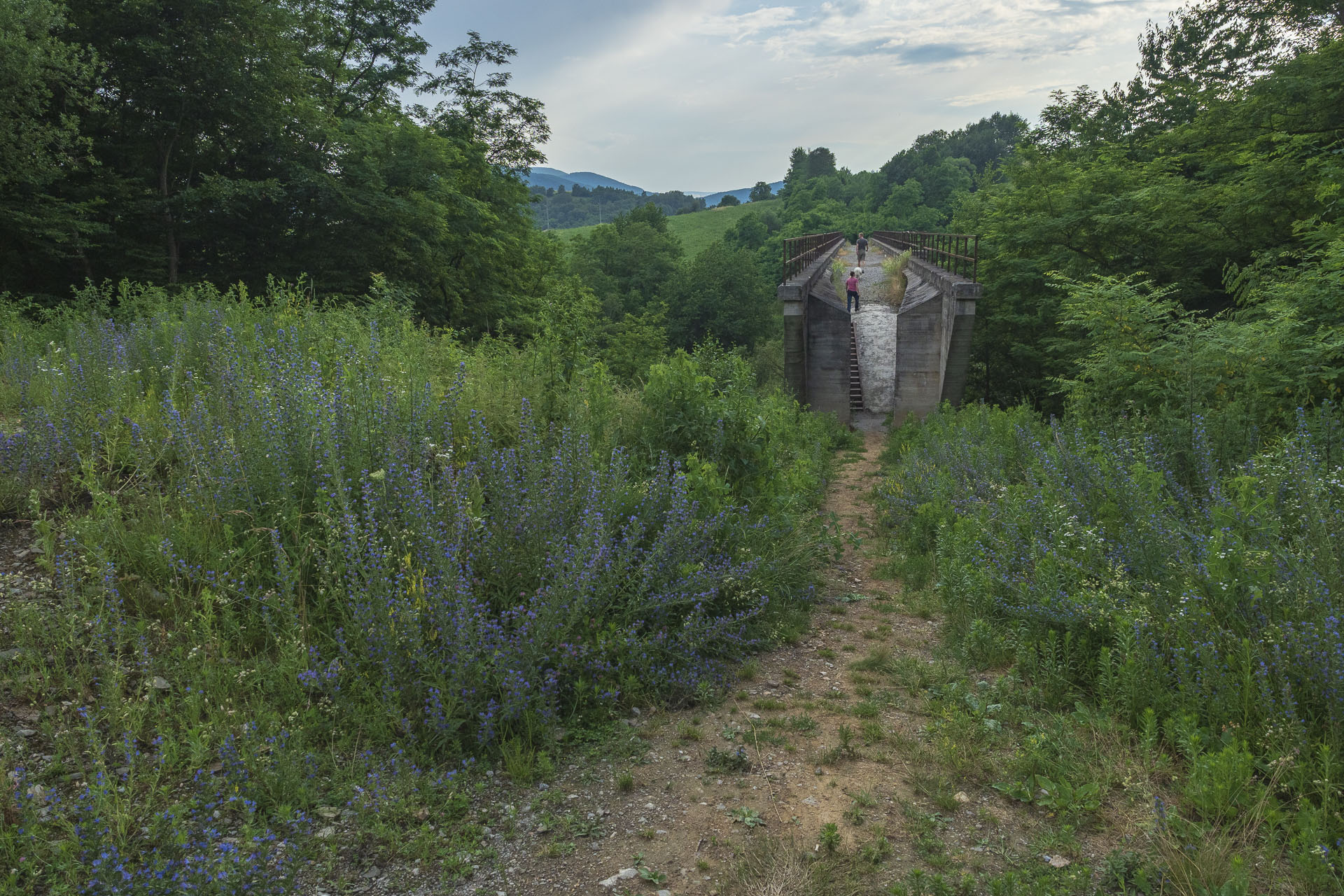 Koprášsky viadukt, Koprášsky a Slavošovský tunel zo Slavošoviec (Stolické vrchy)