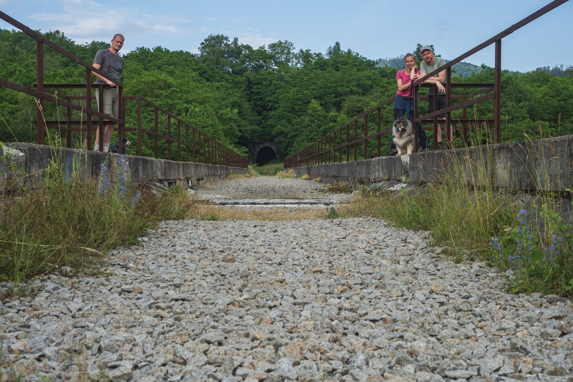 Koprášsky viadukt, Koprášsky a Slavošovský tunel zo Slavošoviec (Stolické vrchy)