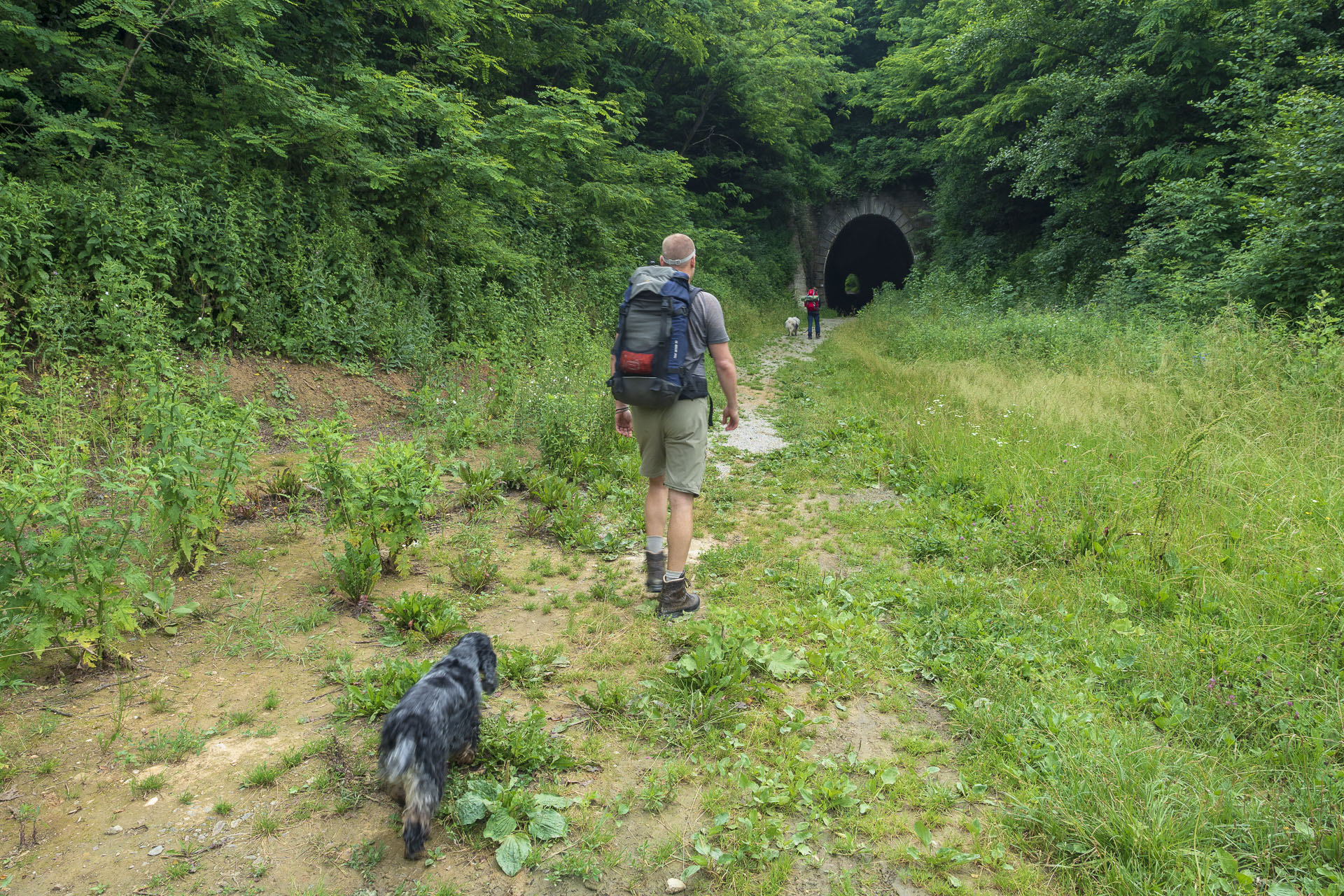 Koprášsky viadukt, Koprášsky a Slavošovský tunel zo Slavošoviec (Stolické vrchy)