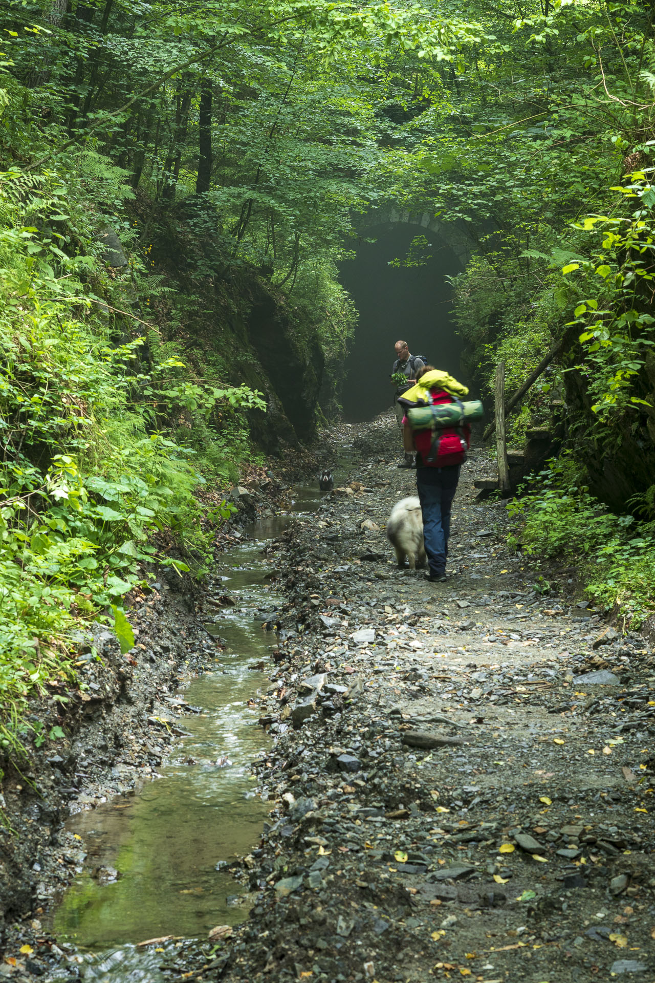 Koprášsky viadukt, Koprášsky a Slavošovský tunel zo Slavošoviec (Stolické vrchy)