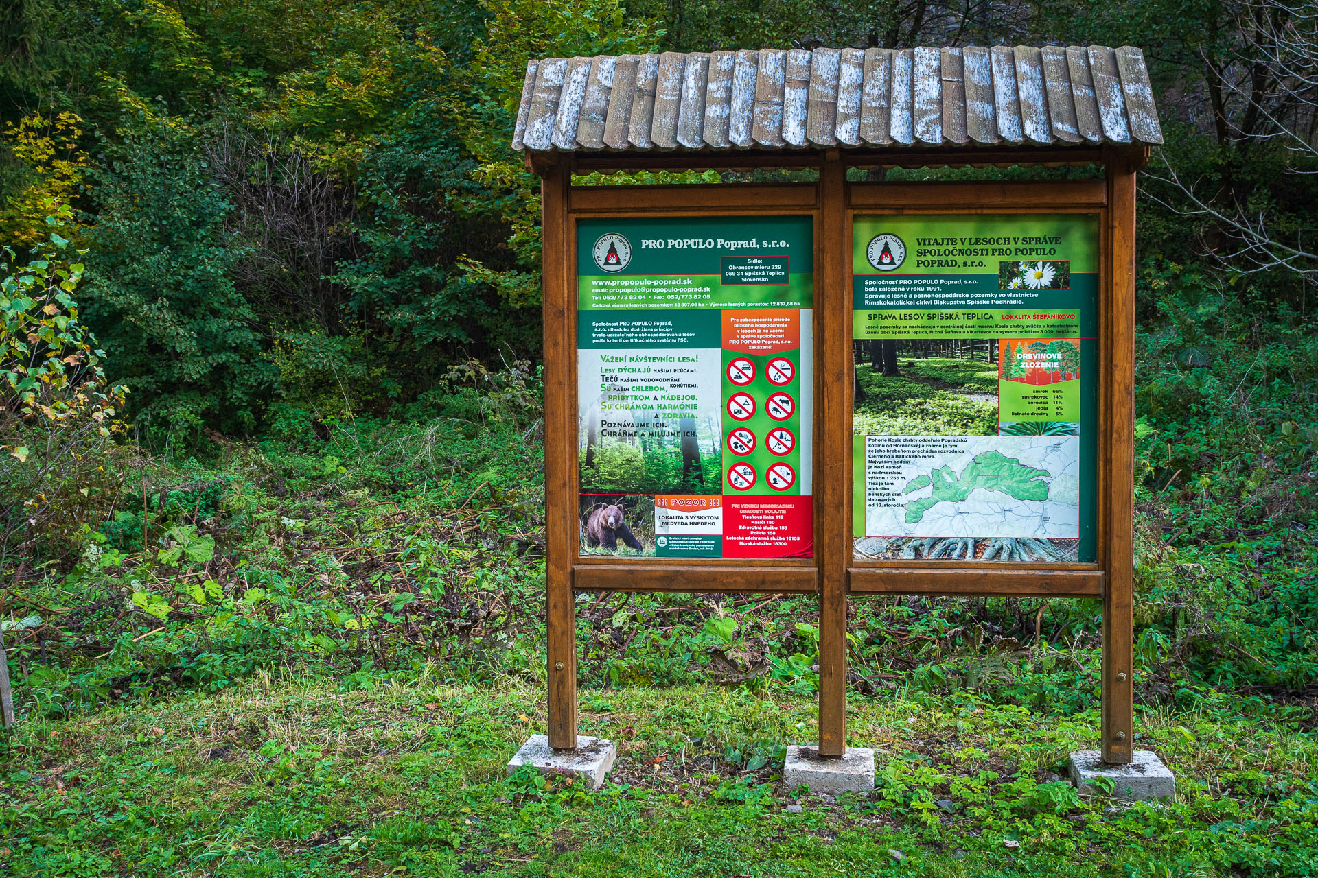 Kozí kameň z Lopušnej doliny (Nízke Tatry)