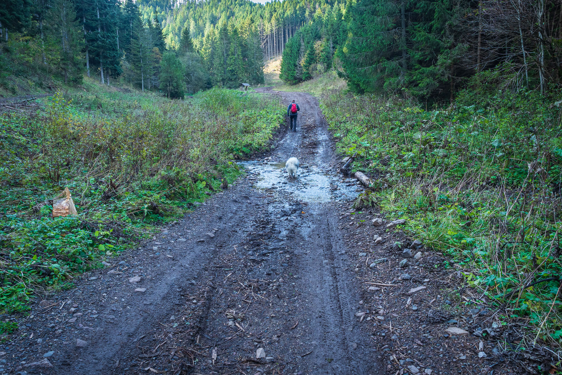 Kozí kameň z Lopušnej doliny (Nízke Tatry)