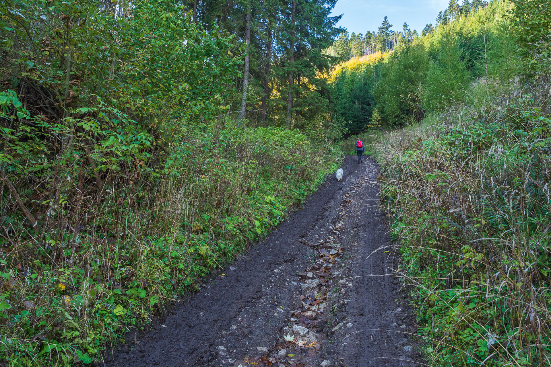 Kozí kameň z Lopušnej doliny (Nízke Tatry)