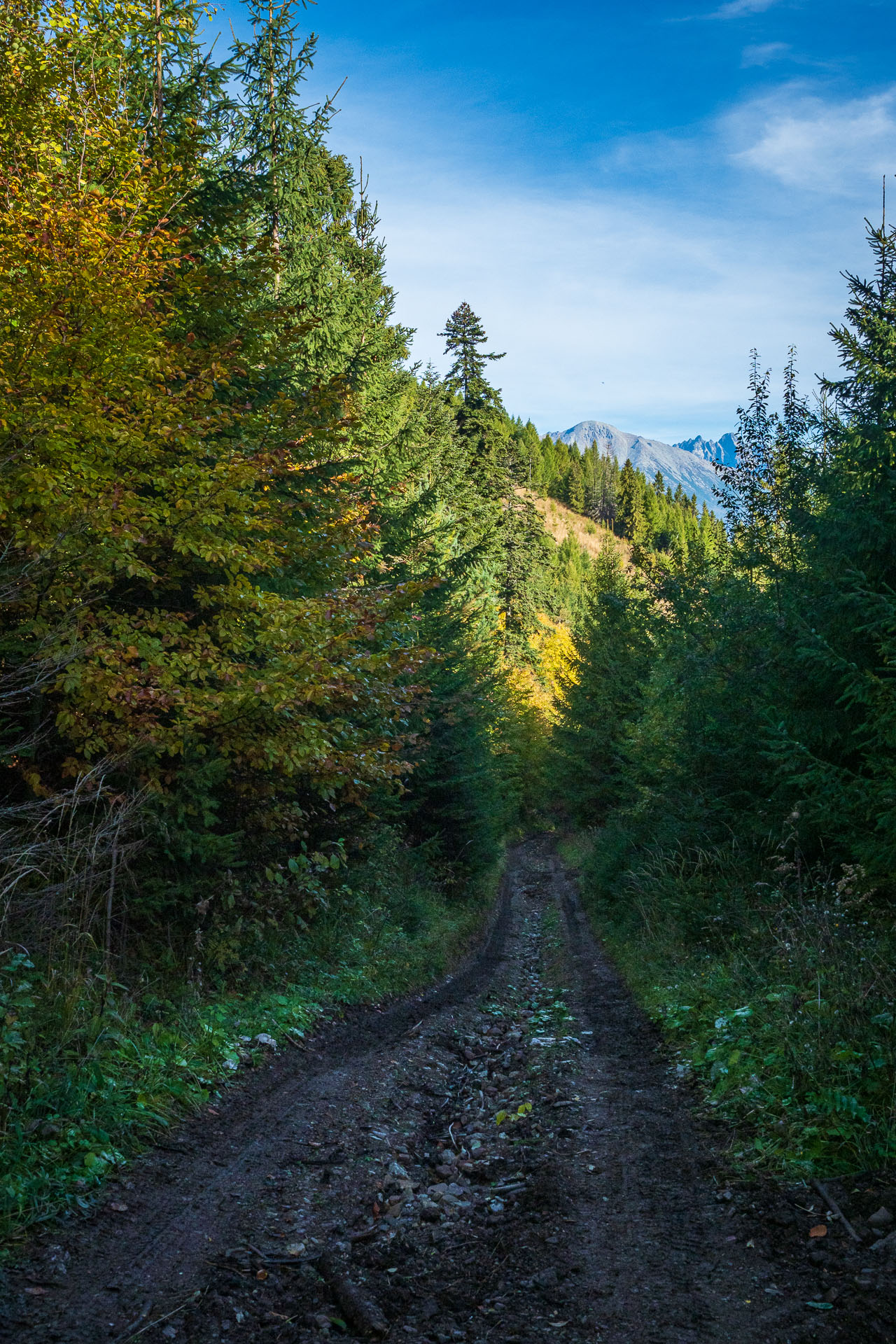 Kozí kameň z Lopušnej doliny (Nízke Tatry)