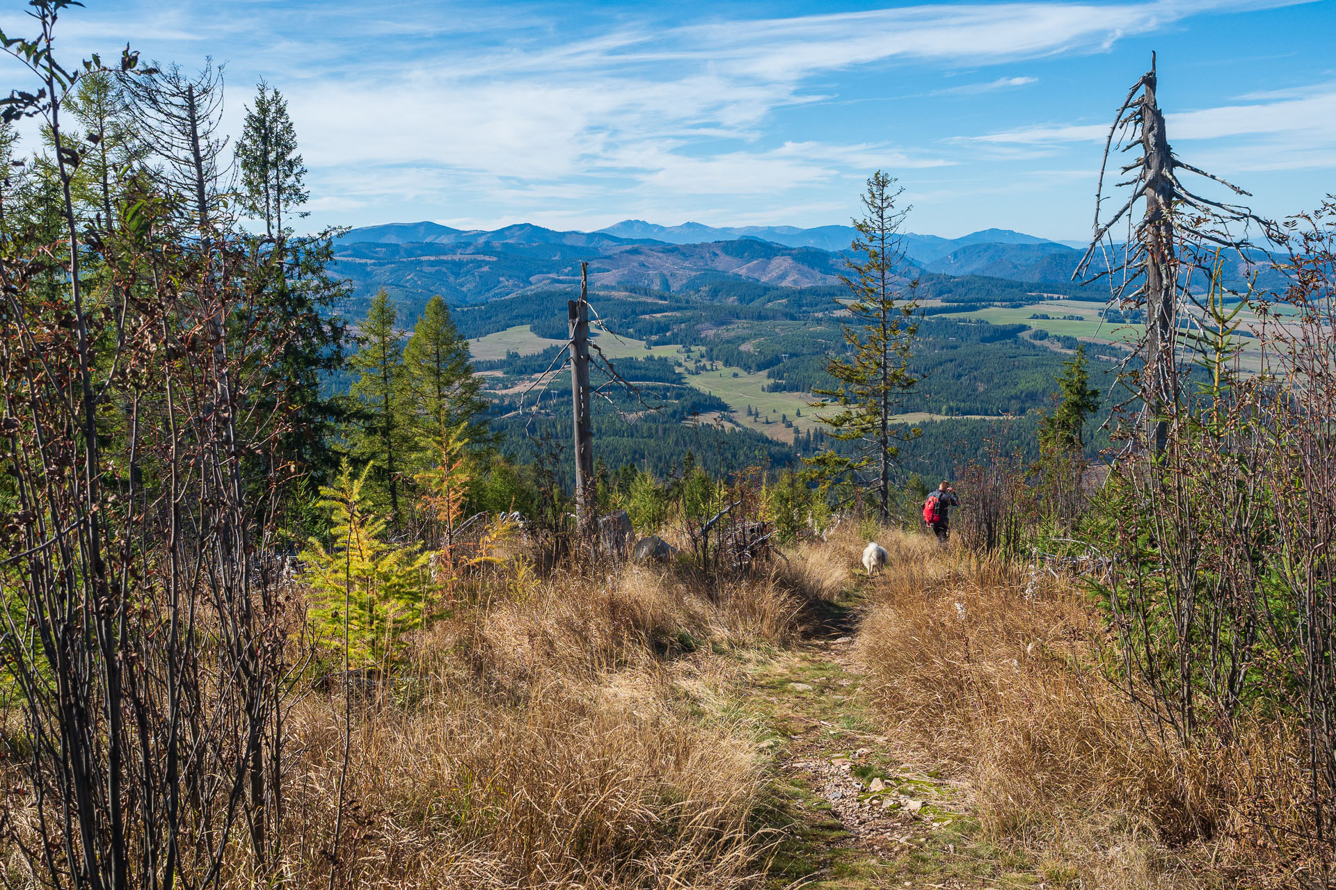 Kozí kameň z Lopušnej doliny (Nízke Tatry)