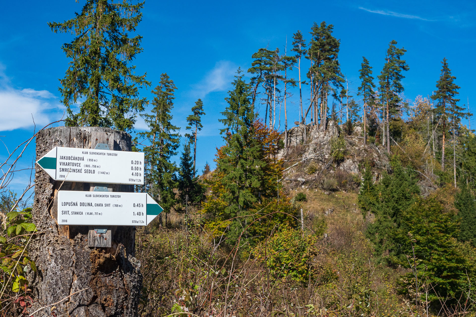 Kozí kameň z Lopušnej doliny (Nízke Tatry)