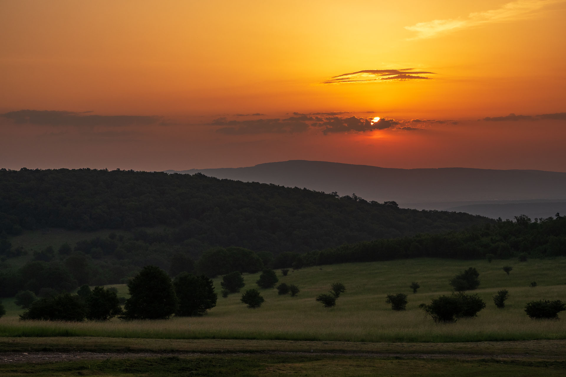 Ladislavova vyvieračka z Drienovských kúpeľov (Slovenský kras)