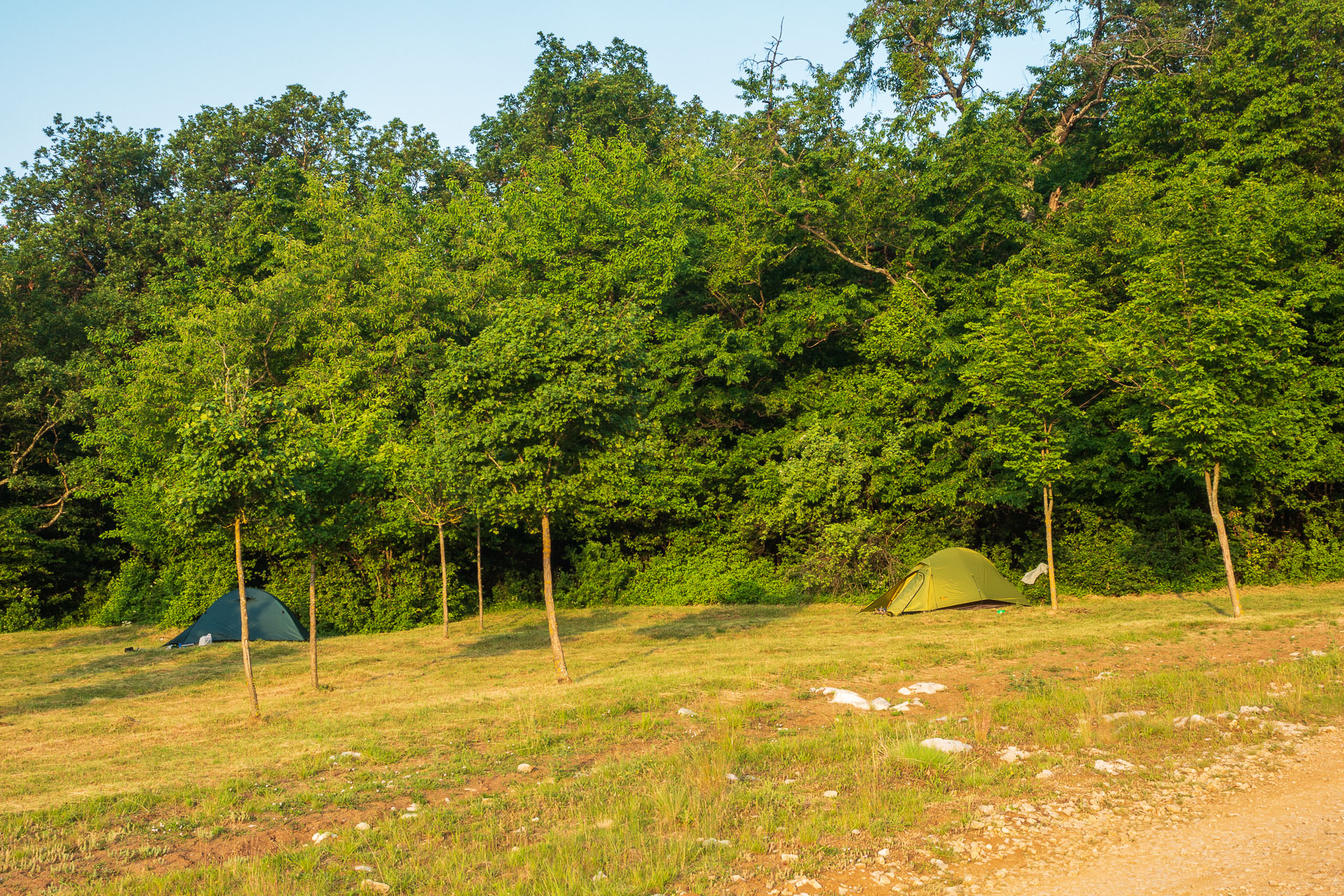 Ladislavova vyvieračka z Drienovských kúpeľov (Slovenský kras)