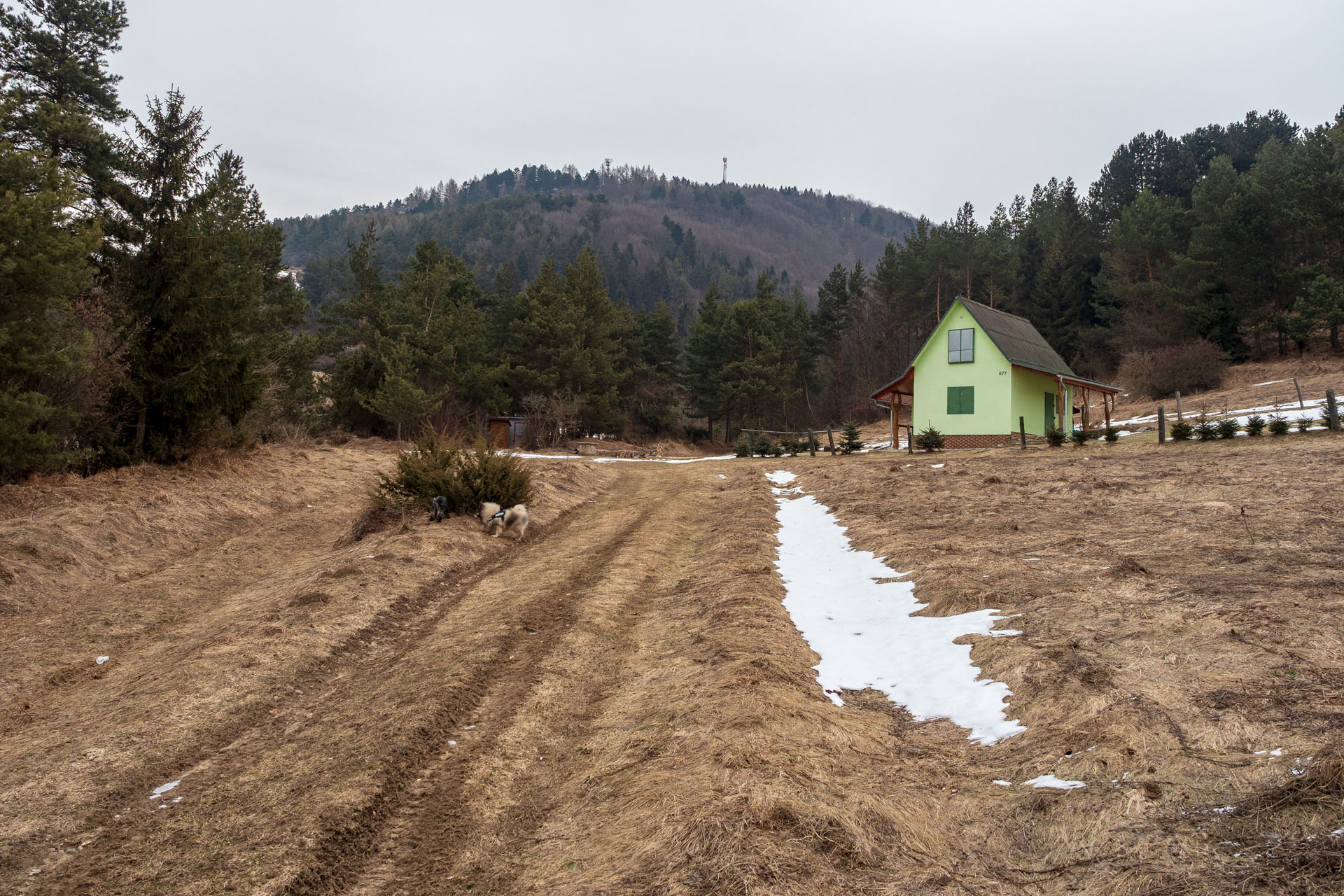 Minčol z Kamenice (Čergov)