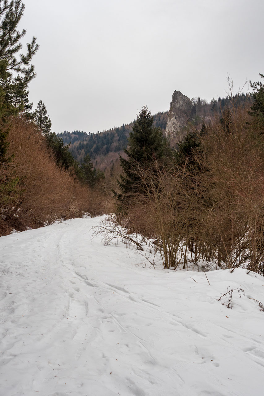 Minčol z Kamenice (Čergov)