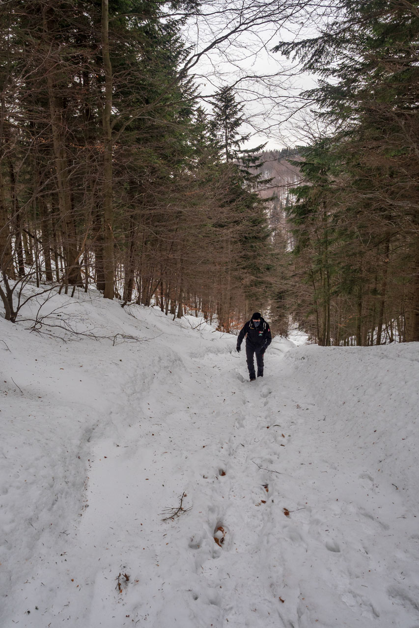 Minčol z Kamenice (Čergov)