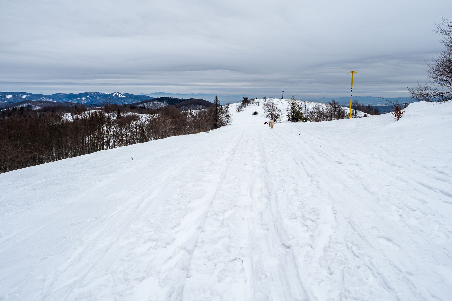 Minčol z Kamenice (Čergov)