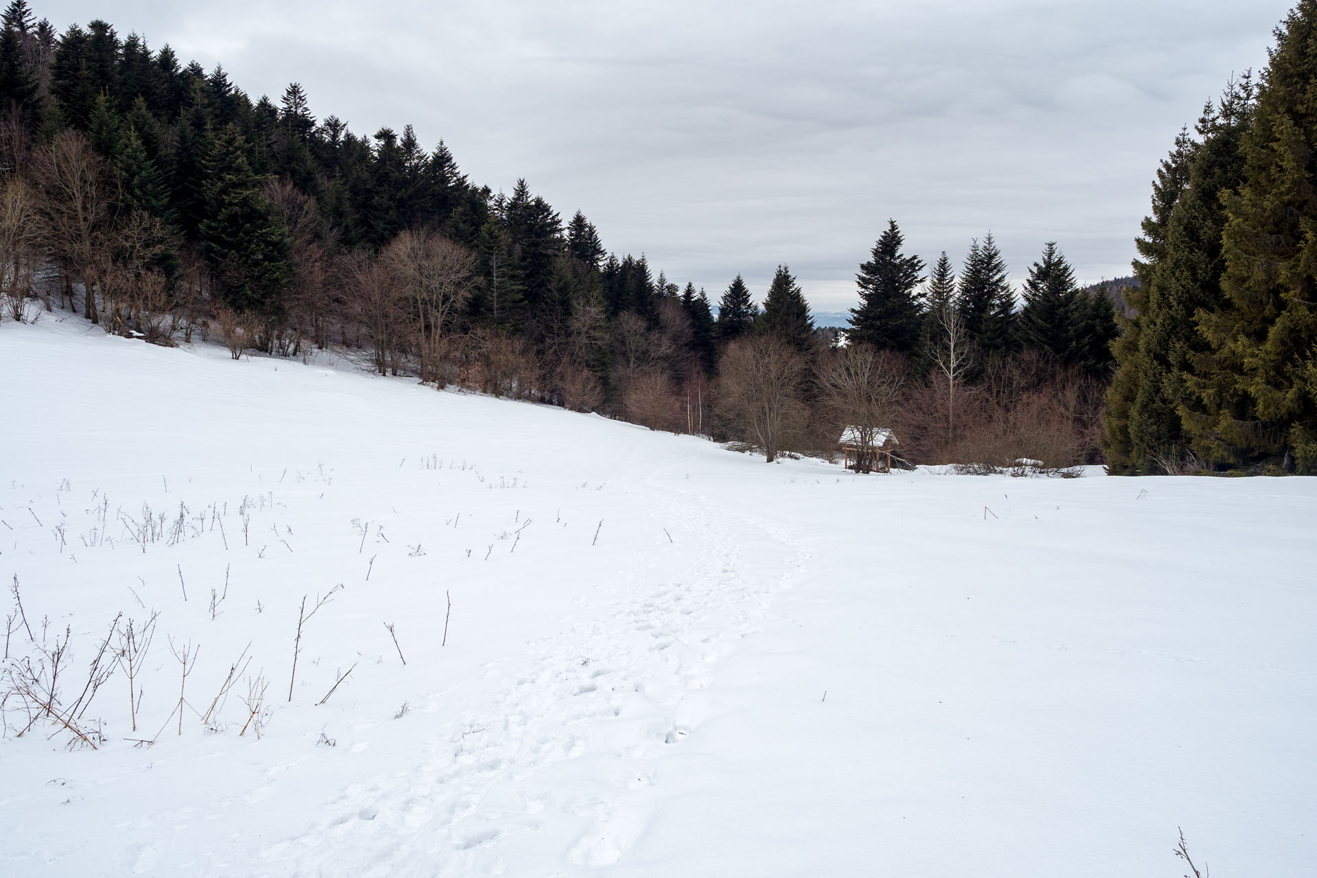 Minčol z Kamenice (Čergov)