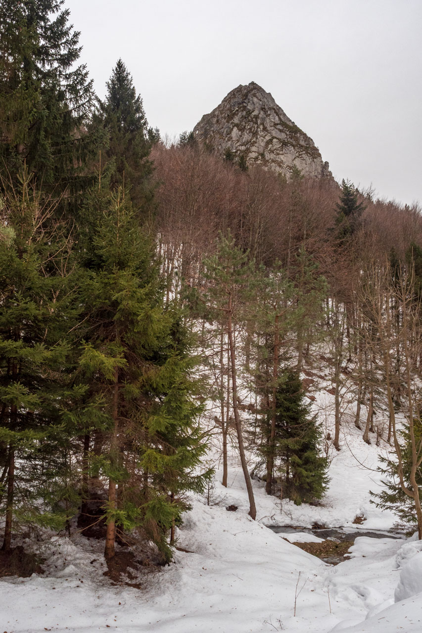 Minčol z Kamenice (Čergov)