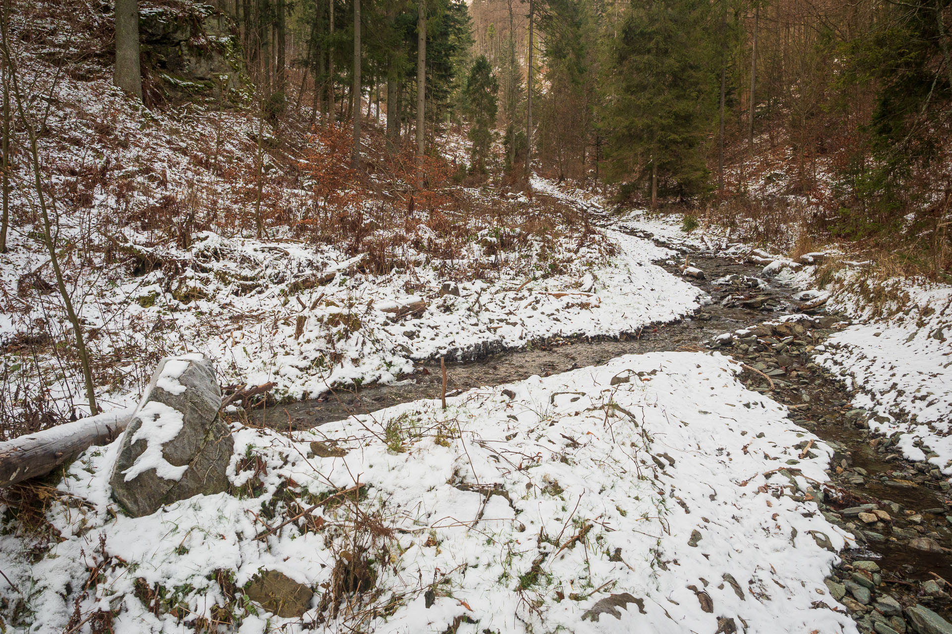 Pálenica z Hnilčíka (Volovské vrchy)