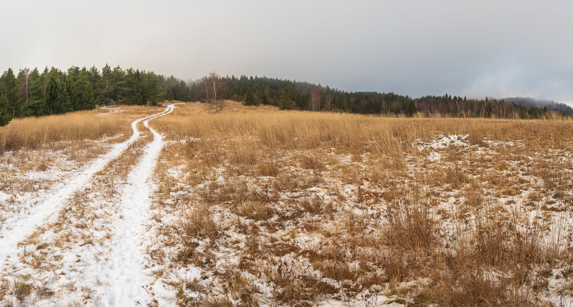 Pálenica z Hnilčíka (Volovské vrchy)