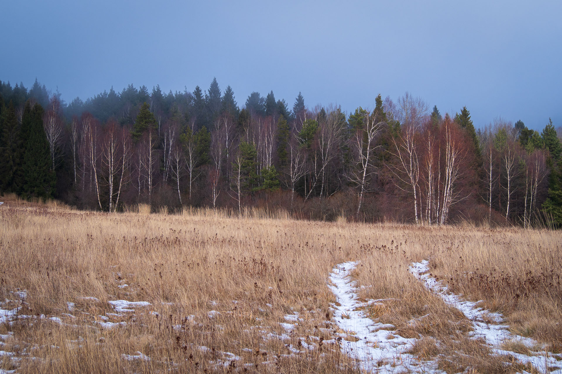 Pálenica z Hnilčíka (Volovské vrchy)