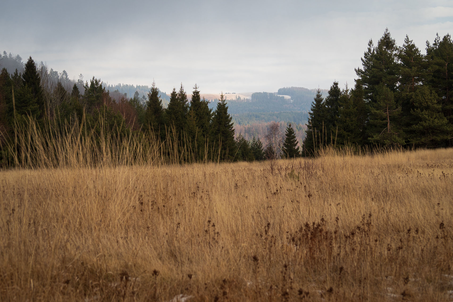 Pálenica z Hnilčíka (Volovské vrchy)