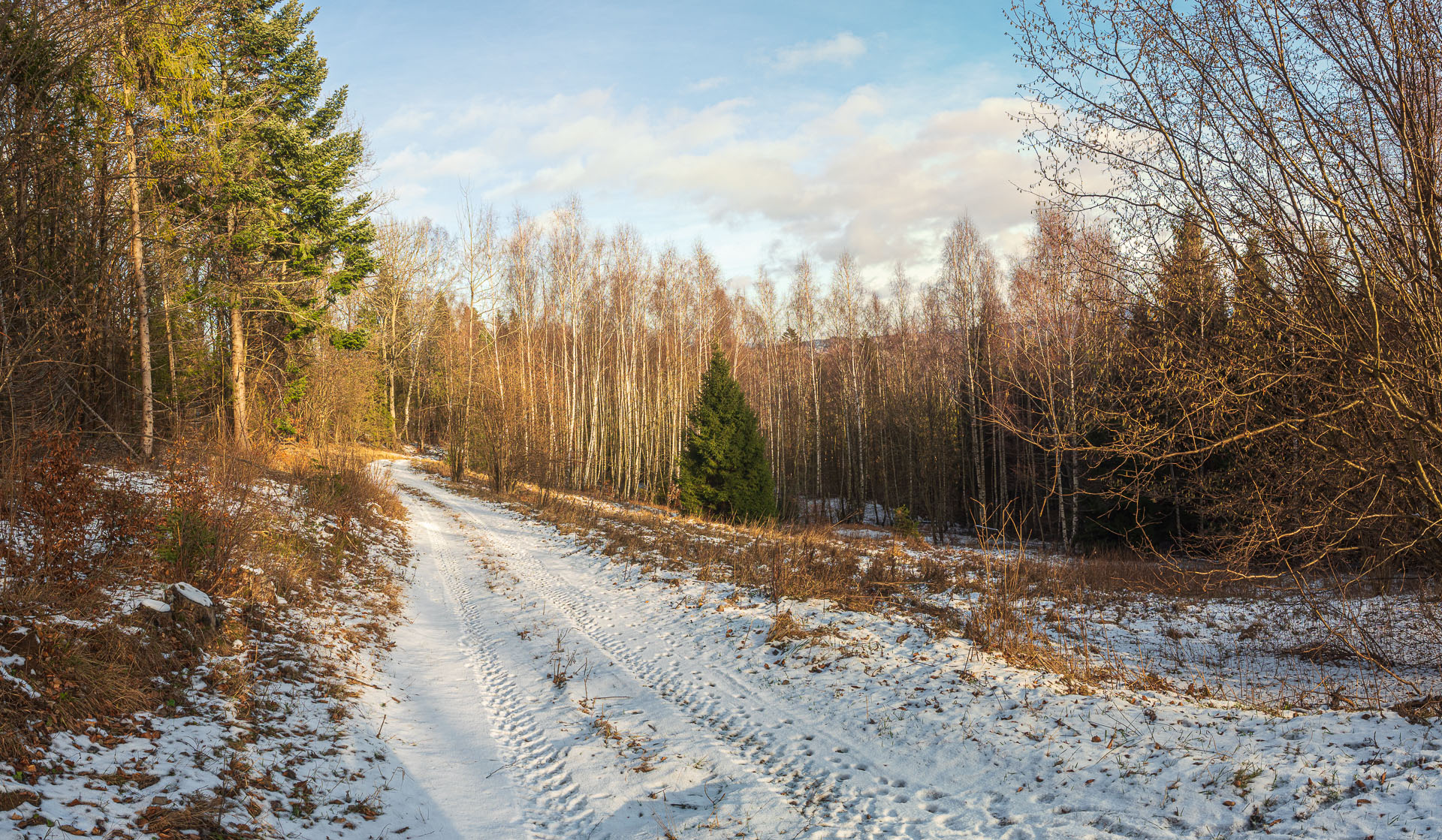 Pálenica z Hnilčíka (Volovské vrchy)