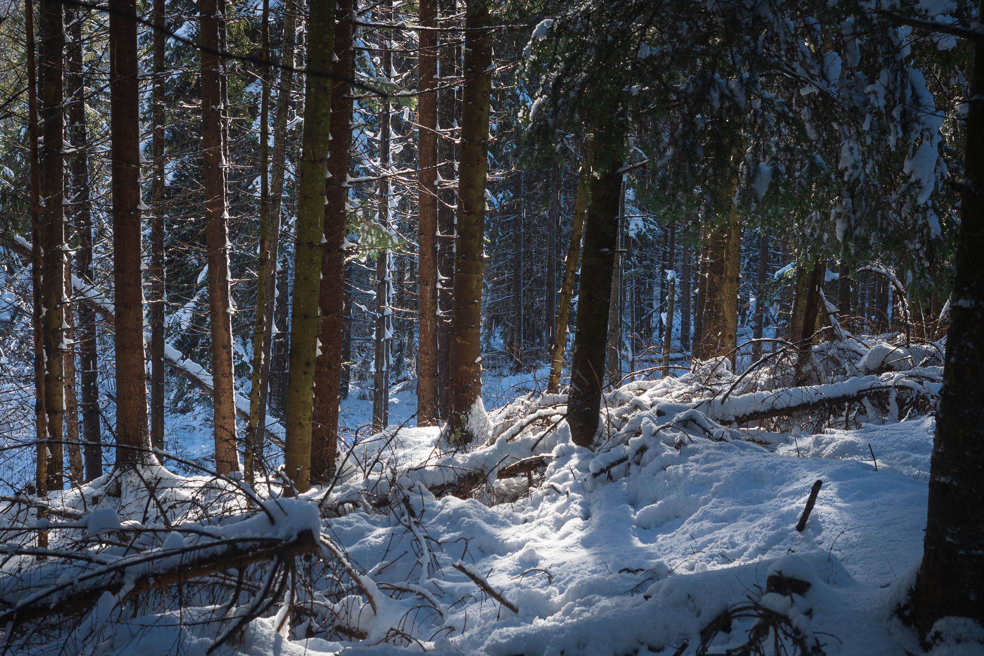 Pod Muráňom z Gretle (Volovské vrchy)