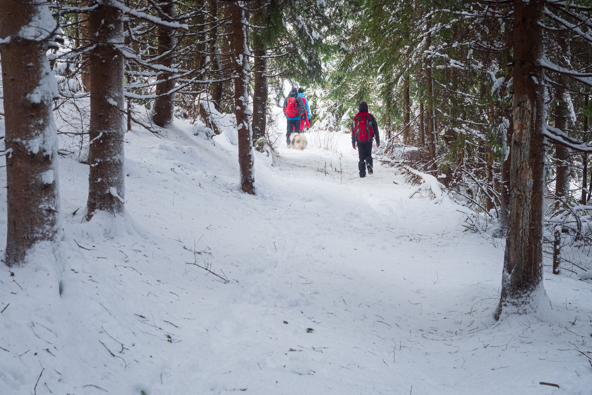 Pod Muráňom z Gretle (Volovské vrchy)